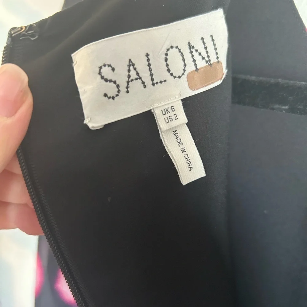SALONI Isa Ruffle Dress - Picture 7 of 10
